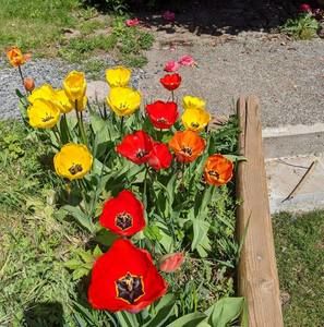 Meet your Posher, Lani